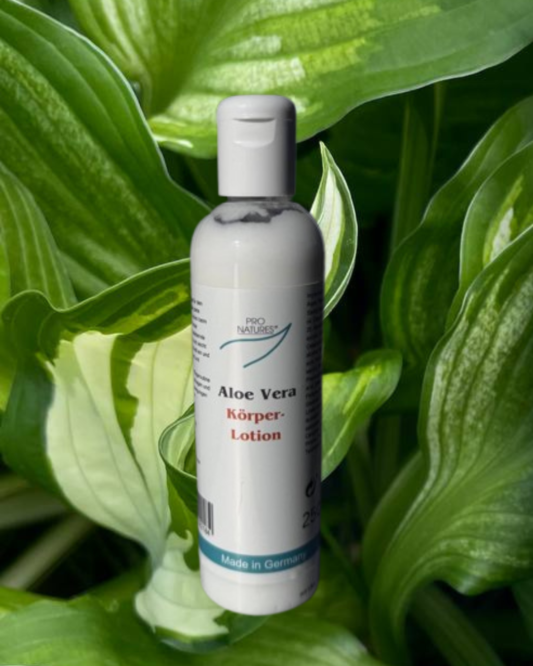 Aloe Vera Körperlotion 250 ml *NEU*
