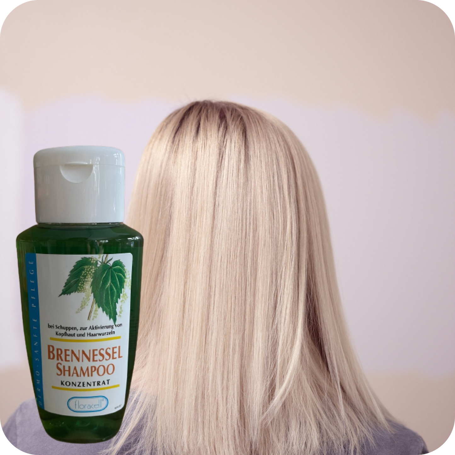 Brennessel Shampoo Konzentrat