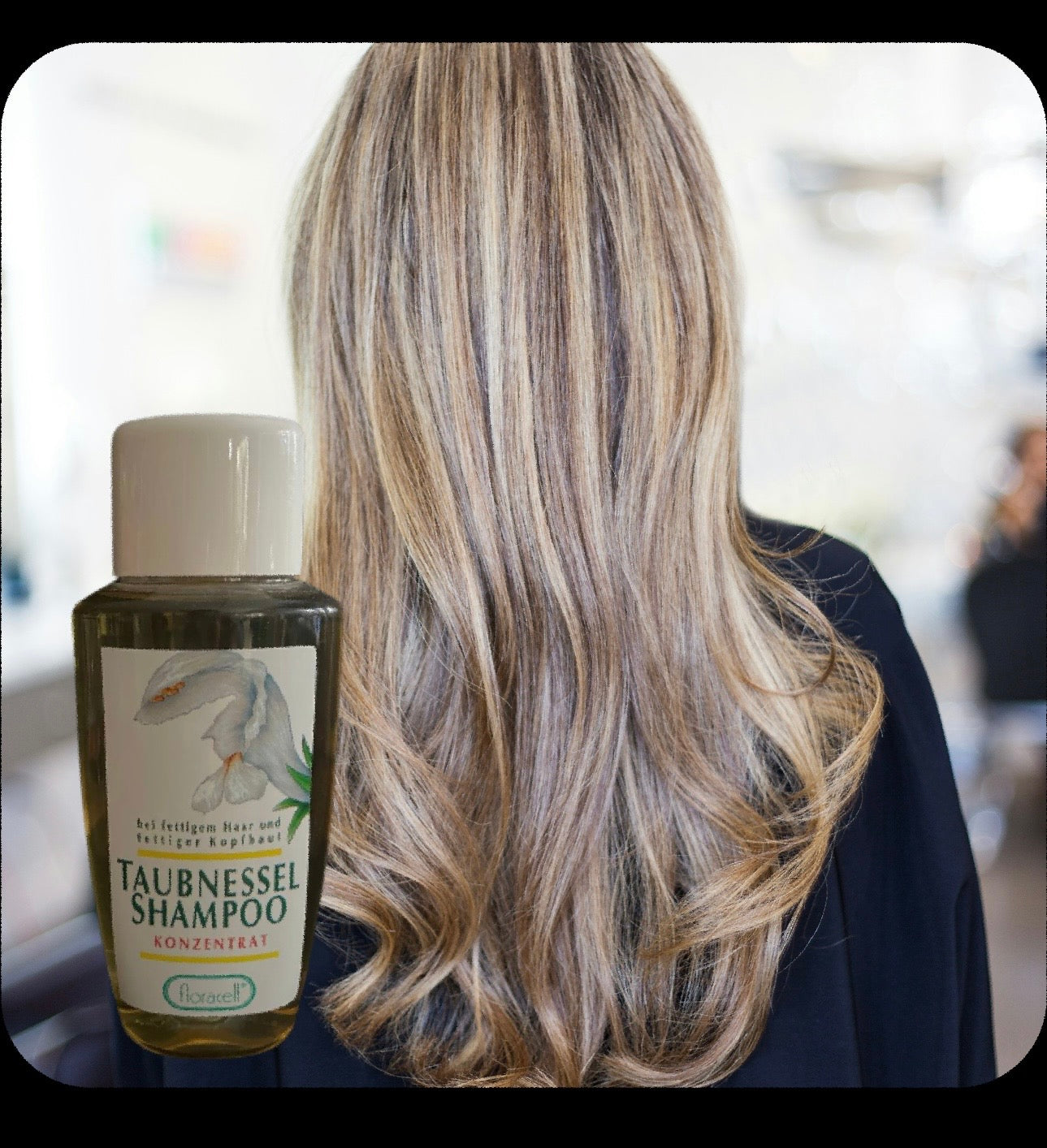Taubnessel Shampoo Konzentrat
