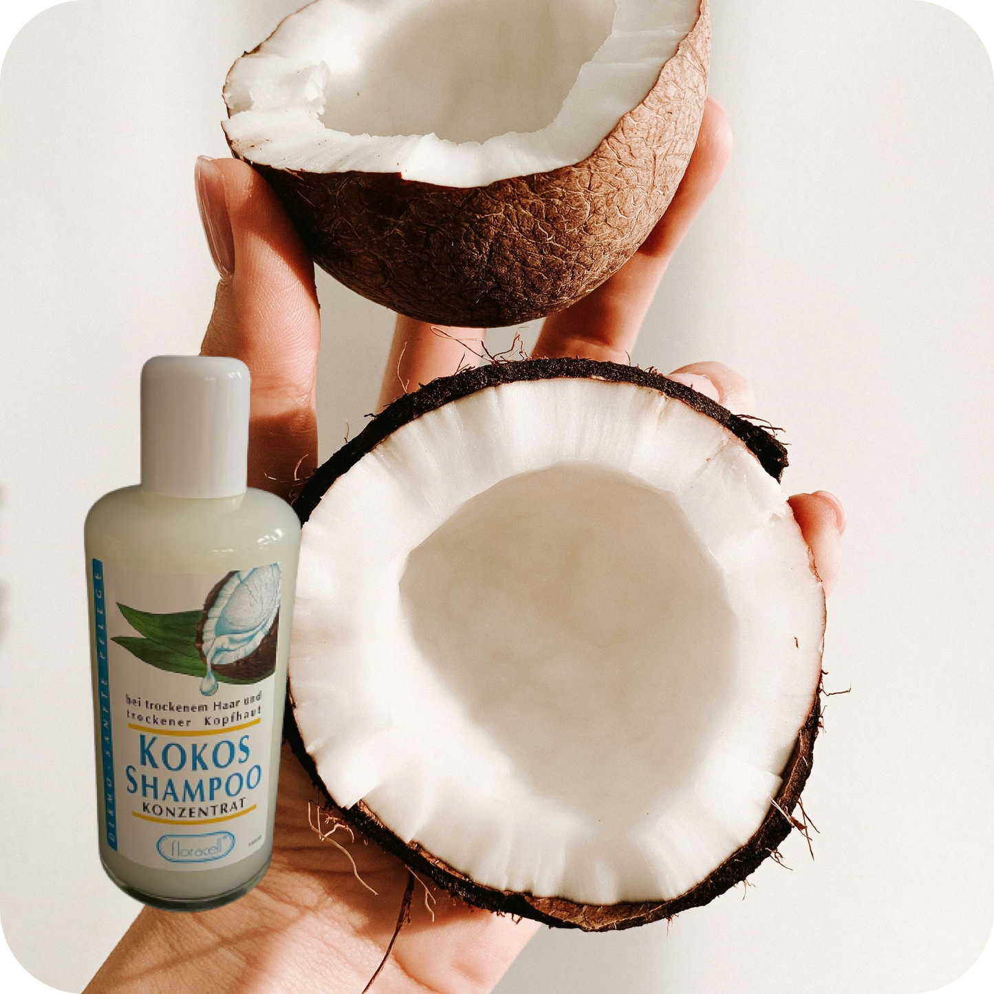 Kokos Shampoo Konzentrat