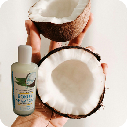 Kokos Shampoo Konzentrat