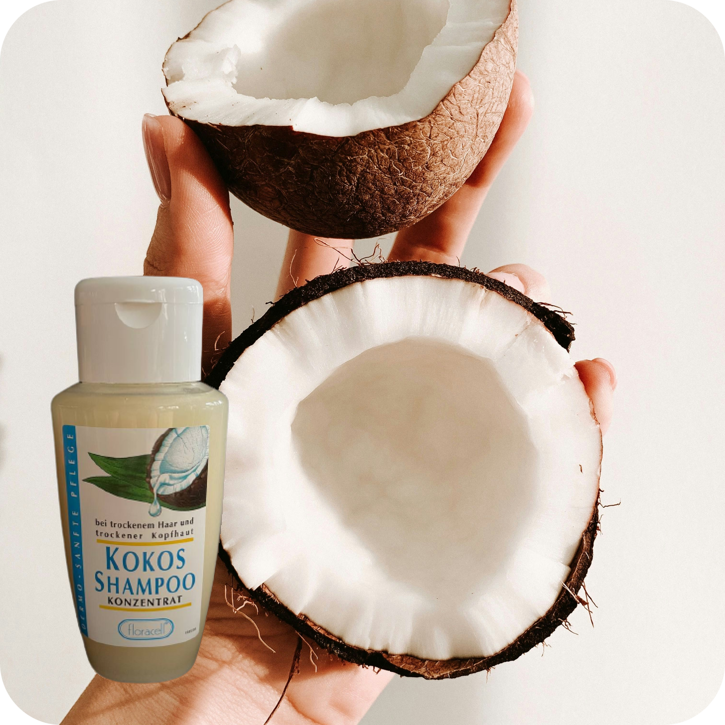 Kokos Shampoo Konzentrat