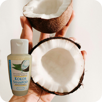 Kokos Shampoo Konzentrat