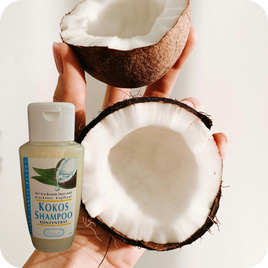 Kokos Shampoo Konzentrat