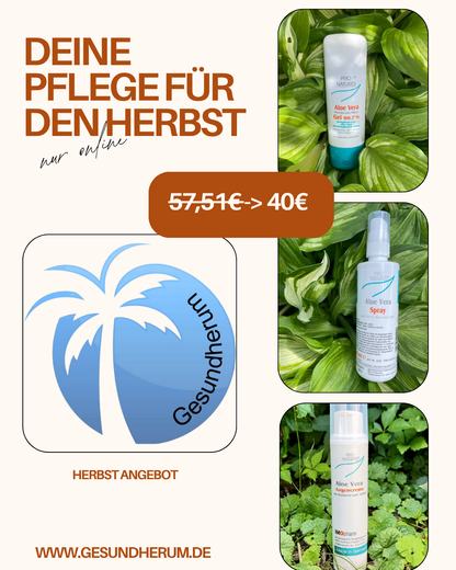 Herbst Angebot