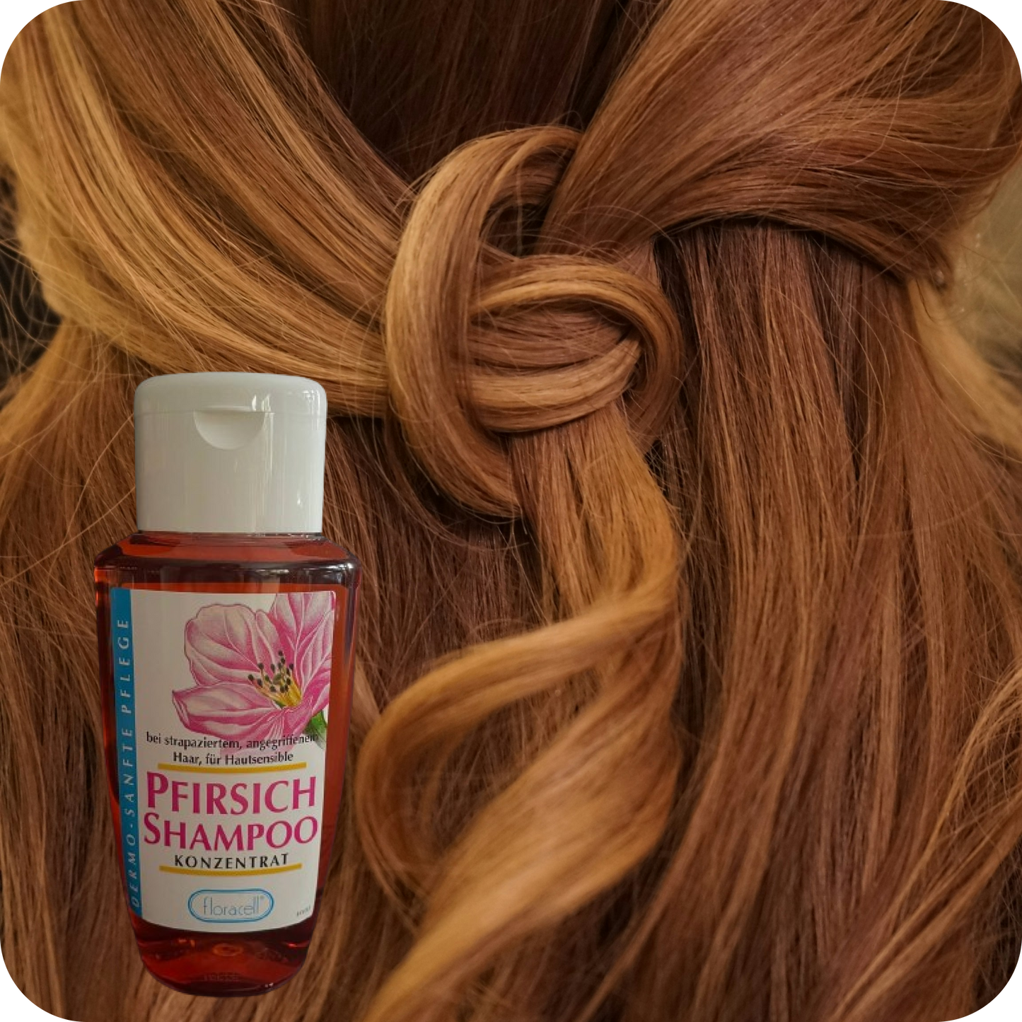 Pfirsich Shampoo Konzentrat