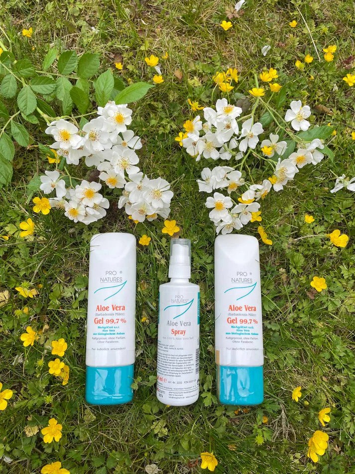 Strahlend durch den Sommer – Aloe Vera Trio