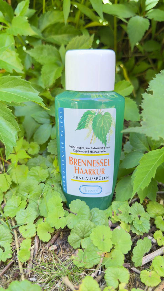 Brennessel Shampoo Konzentrat