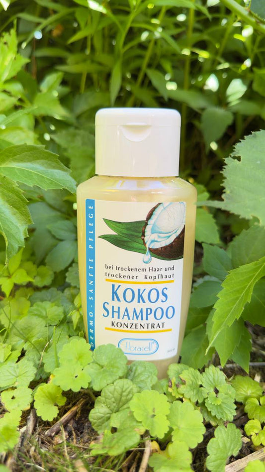 Kokos Shampoo Konzentrat
