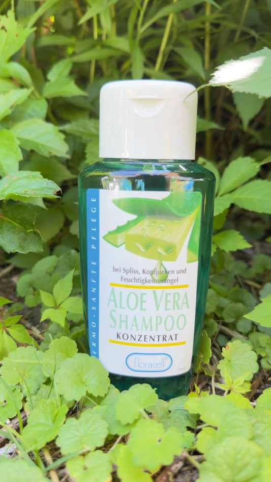 Aloe Vera Shampoo Konzentrat  mit 47,5 % Aloe Vera Anteil - Neue Rezeptur